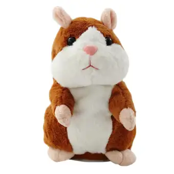 recording hamster