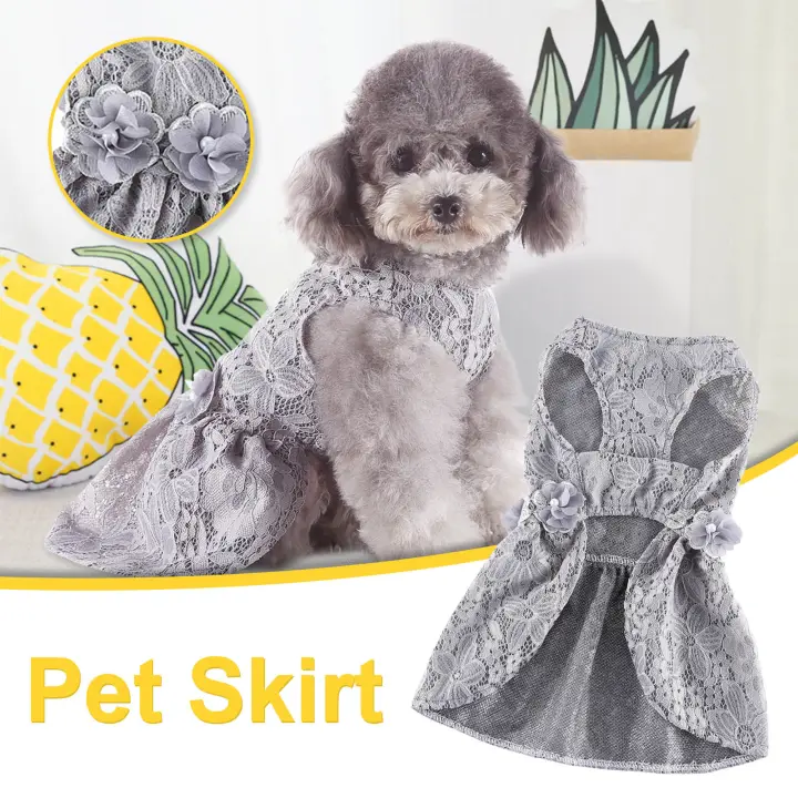 female dog costumes