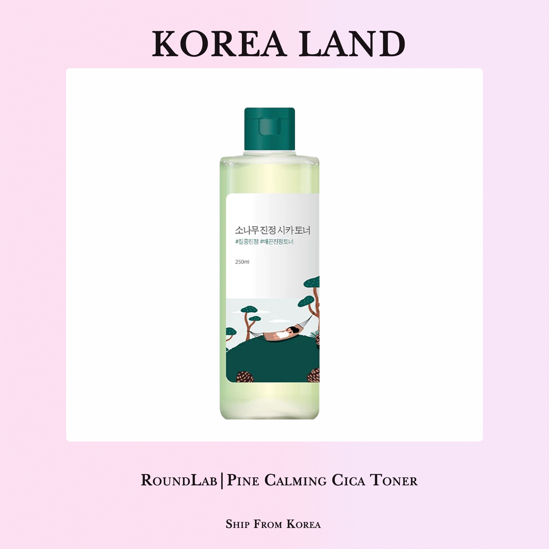 Roundlab | cây thông làm dịu cica Toner (250ml)