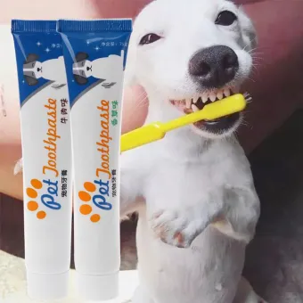 dog whitening toothpaste