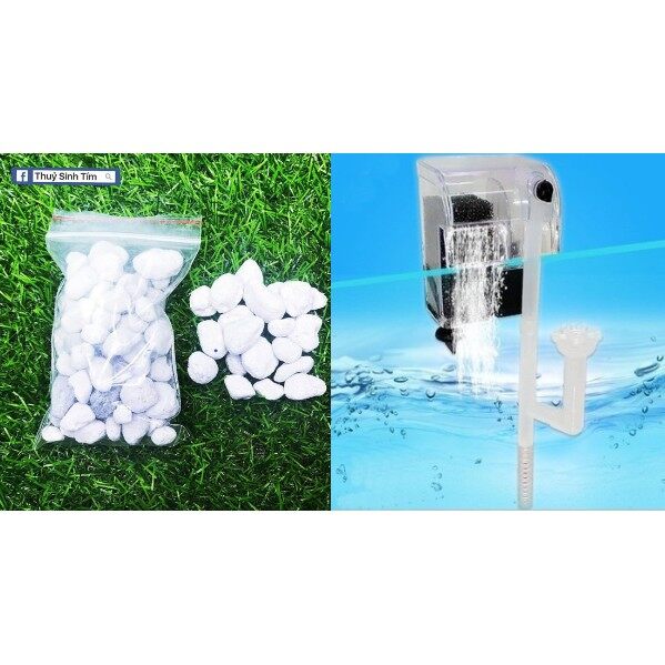 Combo lọc zy003 + matrix 100ml