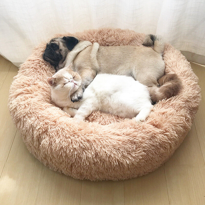 best price dog beds