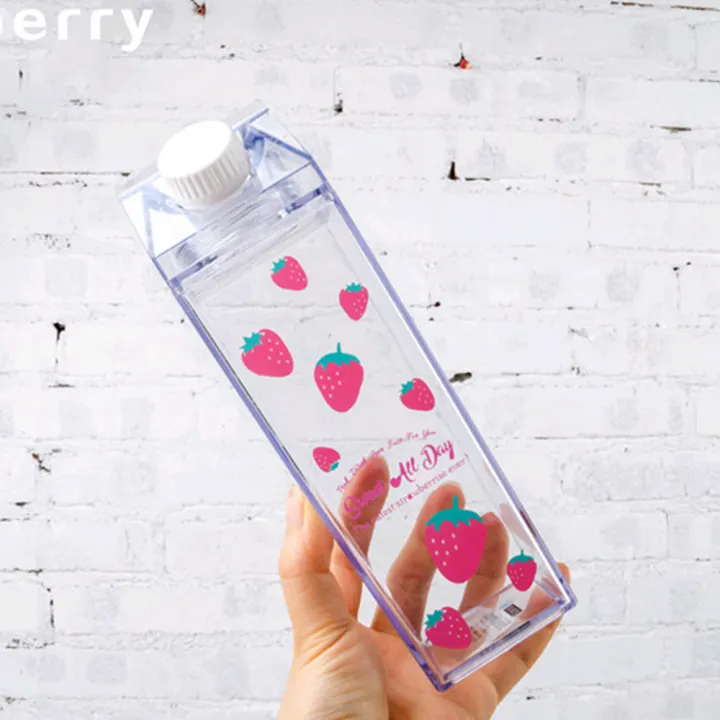 Leakproof Creative Transparent Milk Fruit Water Bottle Drinkware Outdoor Climb