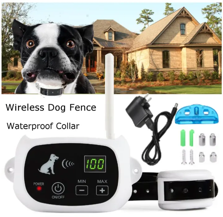 dog fence without wire