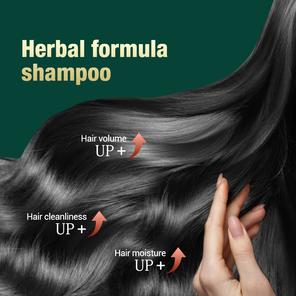 Đen Ganoderma polygonum multiflorum dầu gội công thức thảo dược tự nhiên làm sạch và làm mượt tóc tóc xù