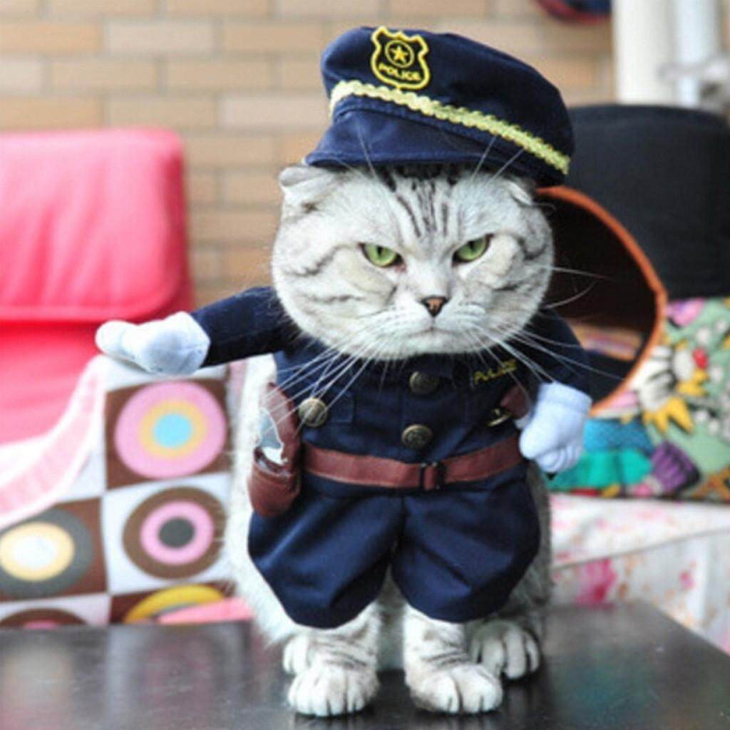 Yexiao Pakaian Hewan Peliharaan Pakaian Peliharaan Anjing Kucing