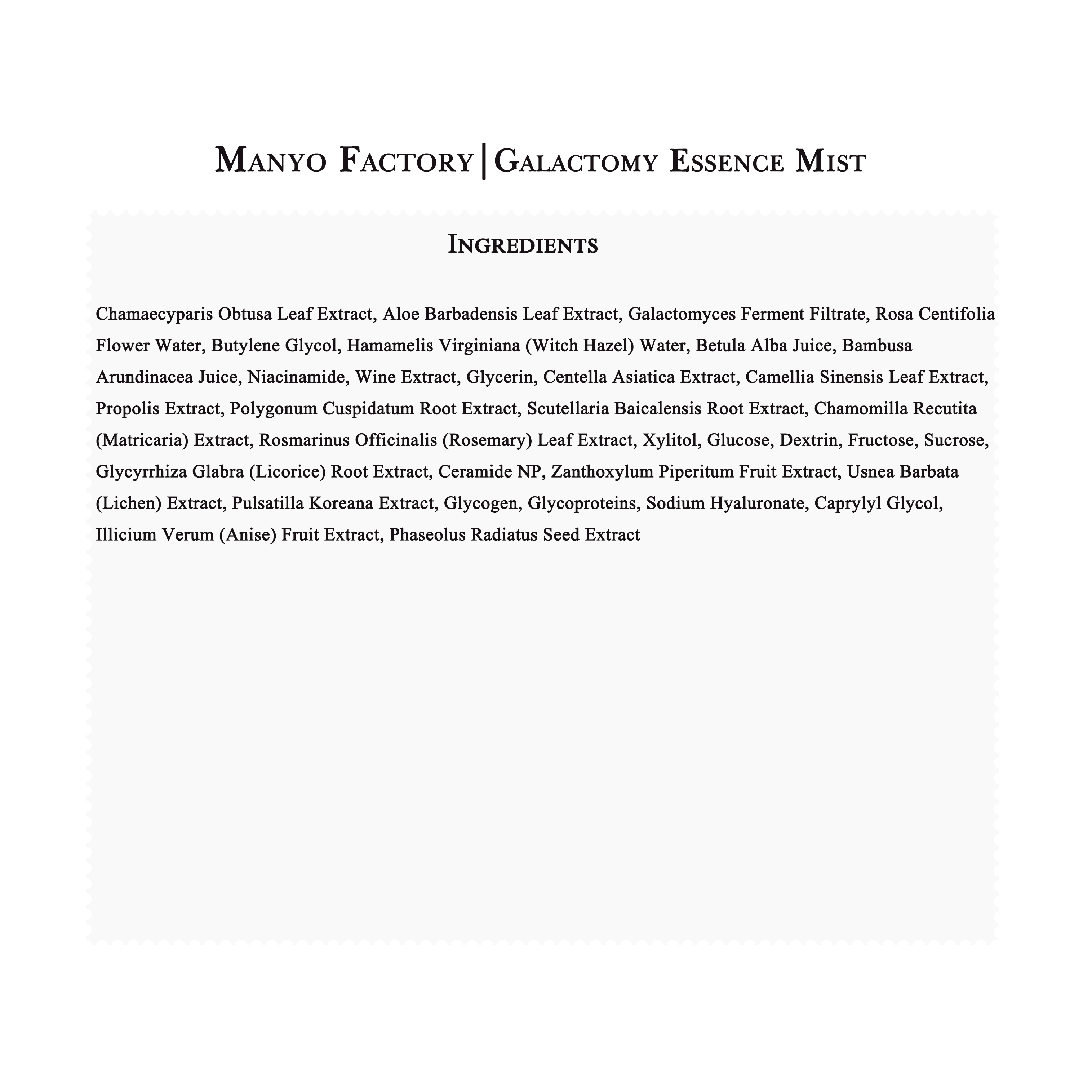 Manyo Factory | Galactomy Essence Mist (120ml)