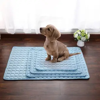 cool summer dog beds