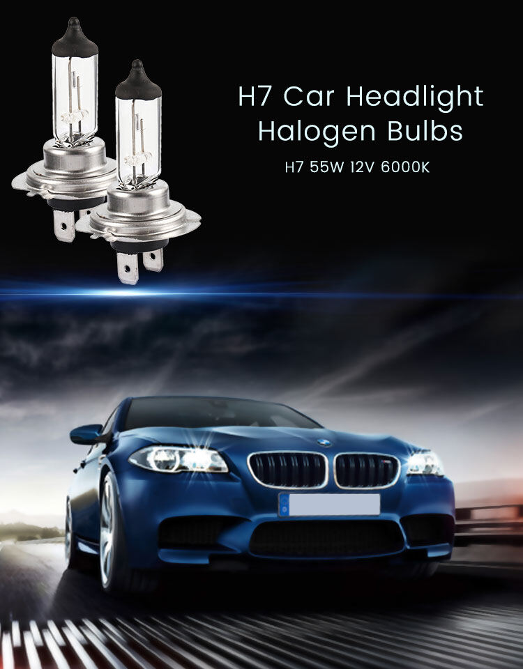 2 Bóng Đèn Pha ODOMY Halogen 12V 55W 4300K Cho Xe Hơi H7-INTL