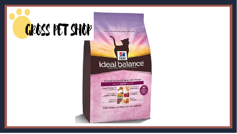 hill's ideal balance kitten