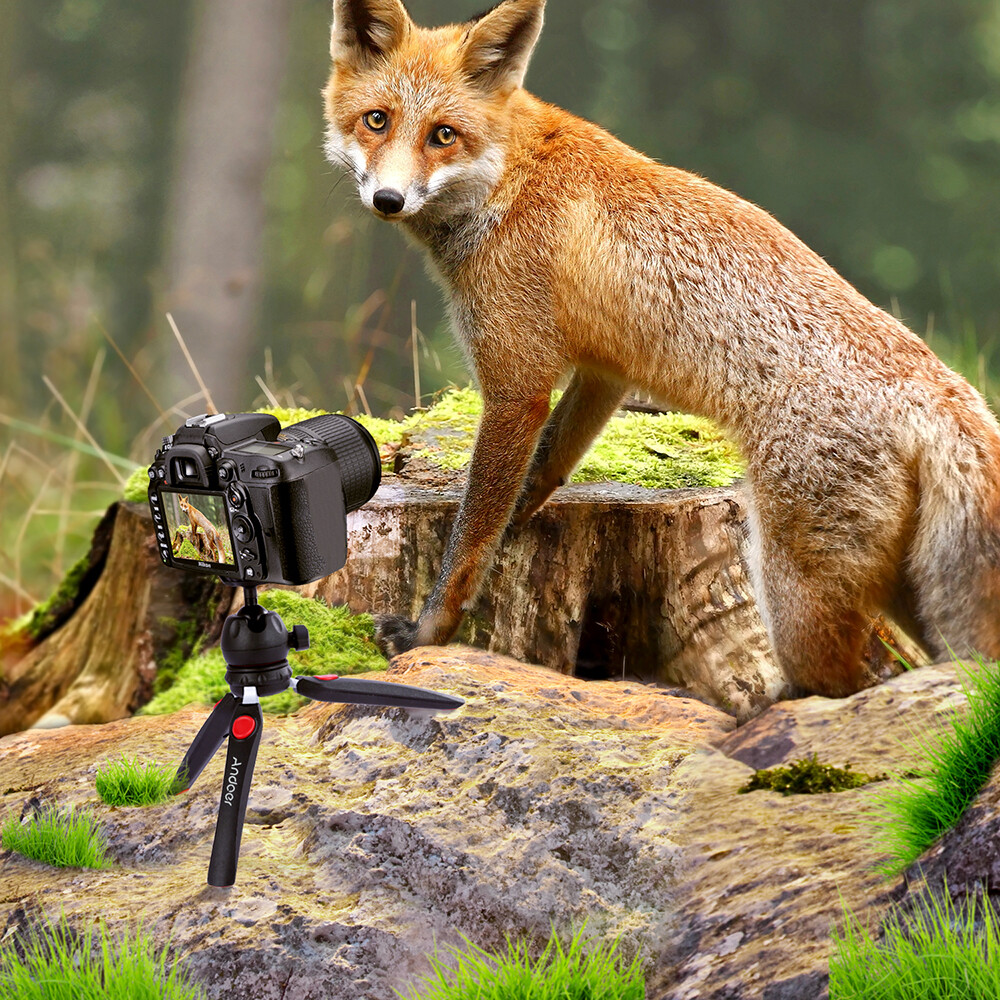 Andoer Mini Tabletop Tripod Portable Foldable Phone Camera Tripod Stand with Removable Ball Head with 1/4 Inch Screw