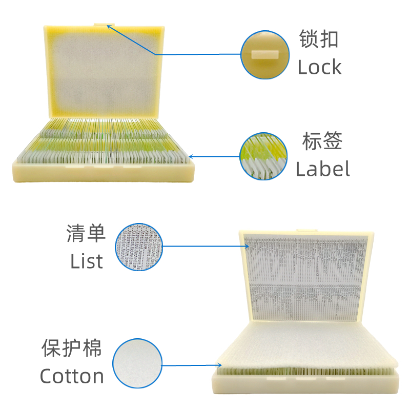 100pcs Basic Animal Plant Insect Cell Biological Prepared Glass Slides Microscope Biology Specimen