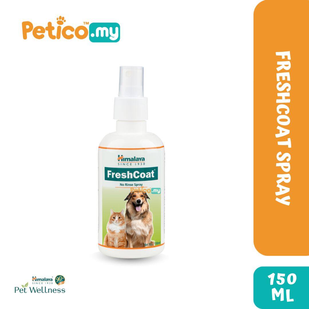 Fresh coat outlet spray for dogs