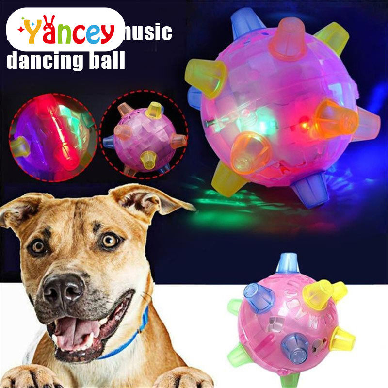 self bouncing ball for dogs