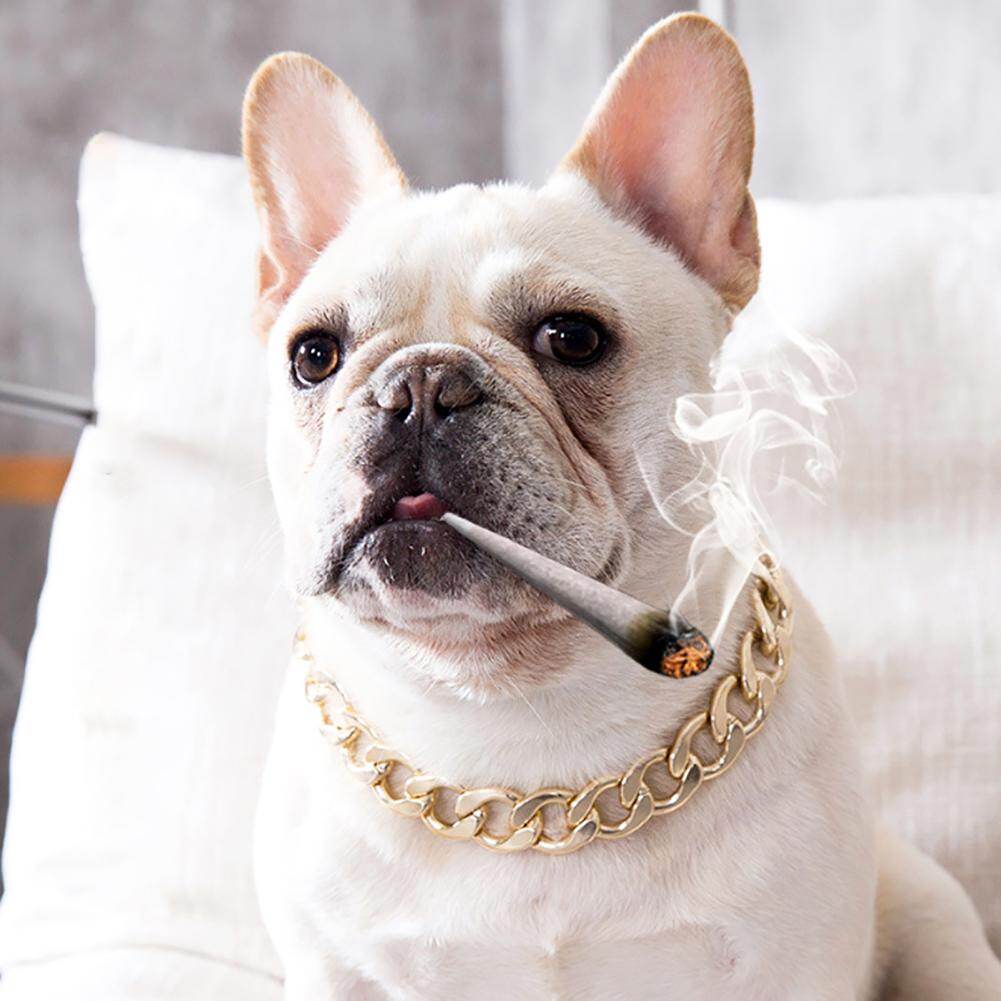 Vòng cổ cho chó Pitbull Bulldog có thể điều chỉnh Huấn luyện viên Aixuexi - INTL