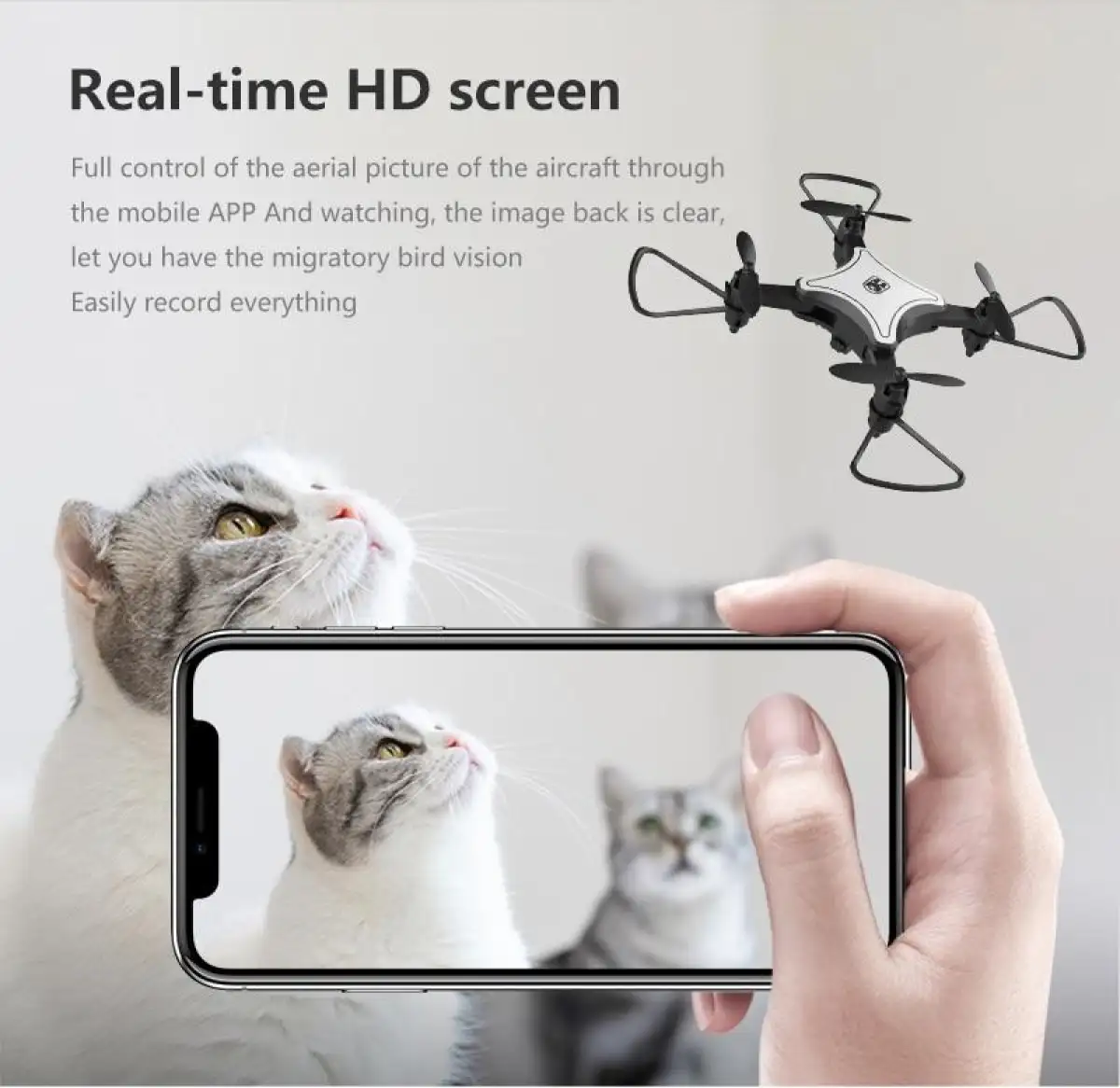 rc bird drone cat toy