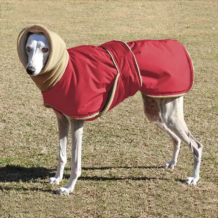 Winter dog jackets for large dogs Clearance