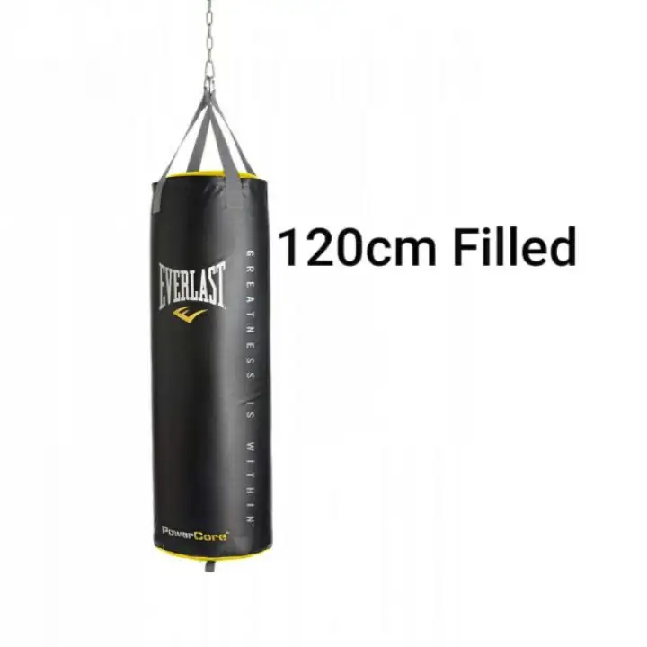 everlast powercore punching bag