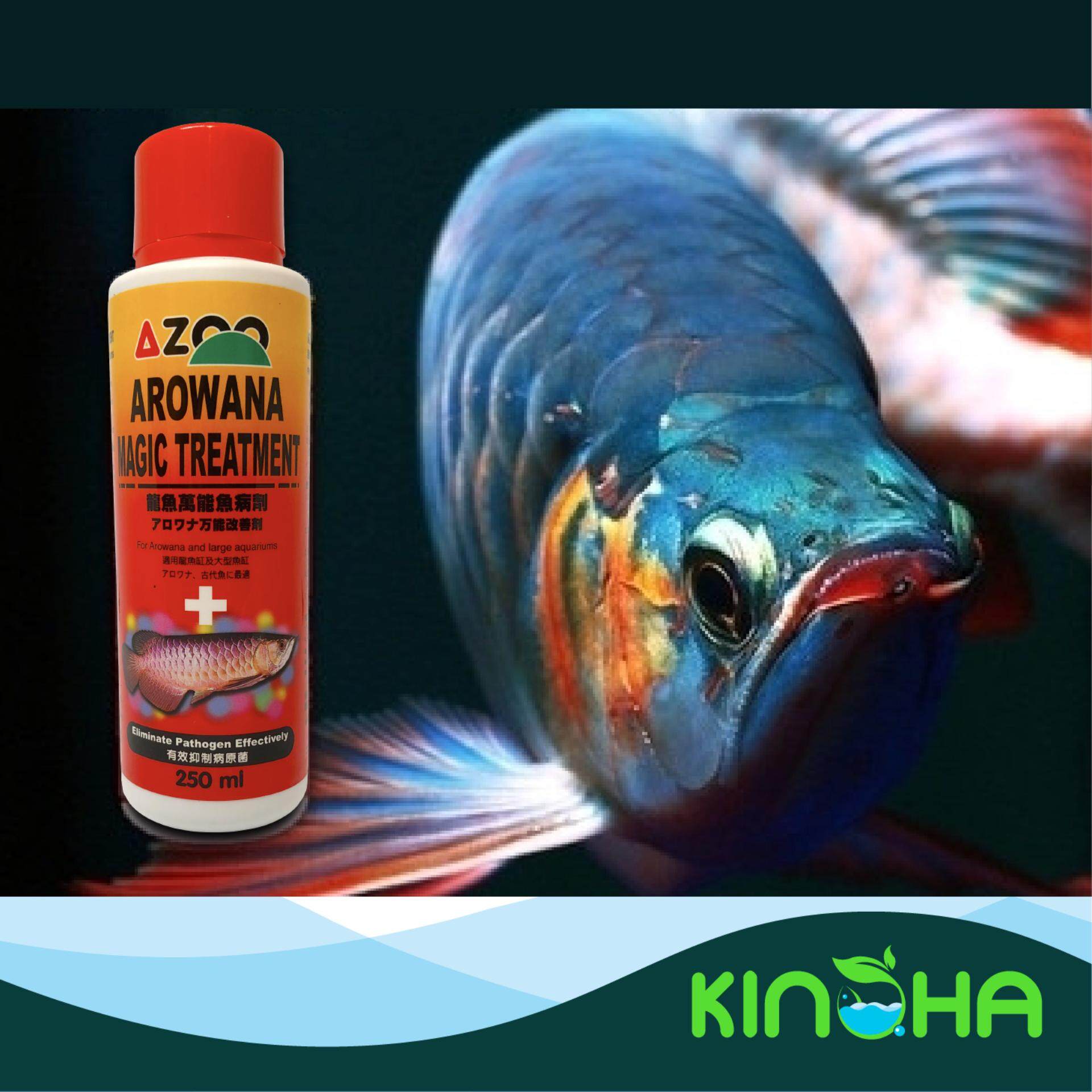 azoo arowana magic treatment