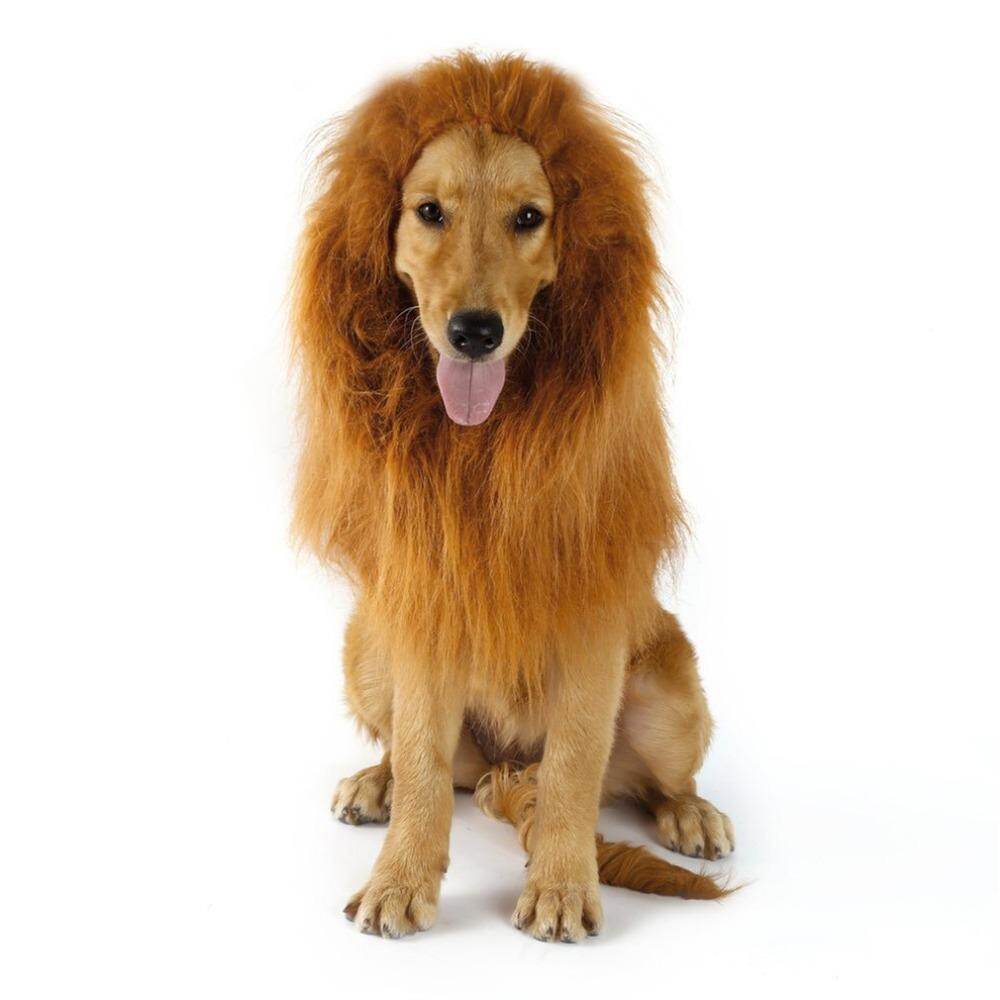 Fun Lion Mane Wig For Pet Cat Dog Halloween Festival Fancy Dress Up with Ears Dress Up