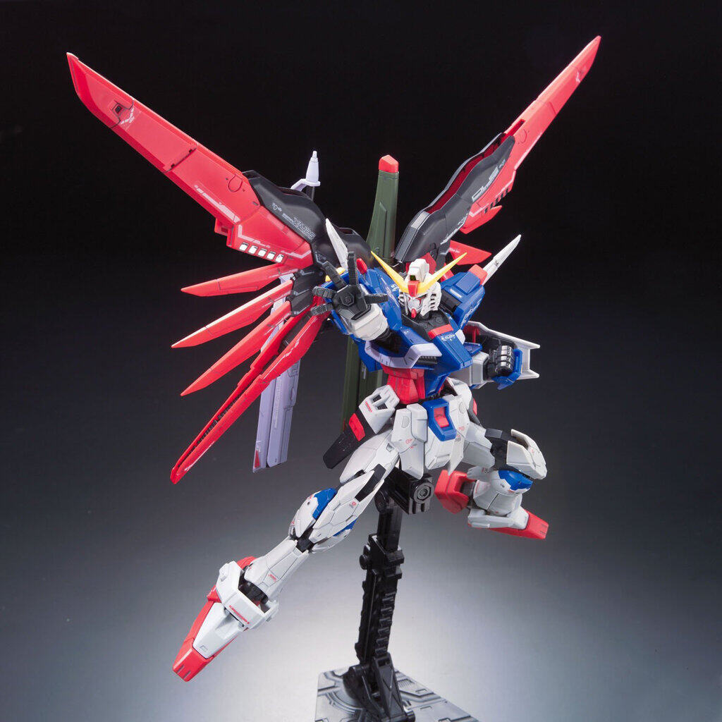 Bandai RG-11 1/144 DESTINY GUNDAM Z.A.F.T. 4573102616166 C1
