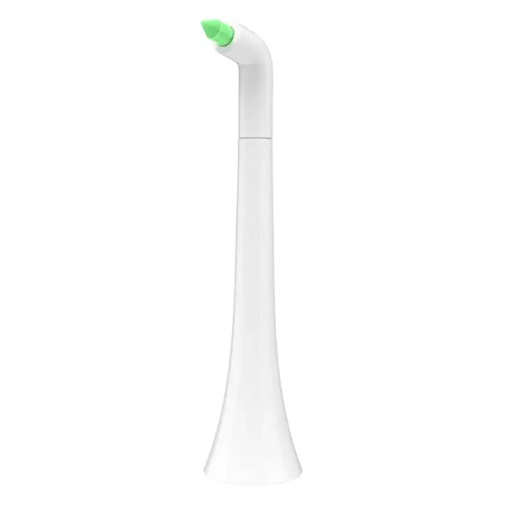 waterpik toothbrush heads