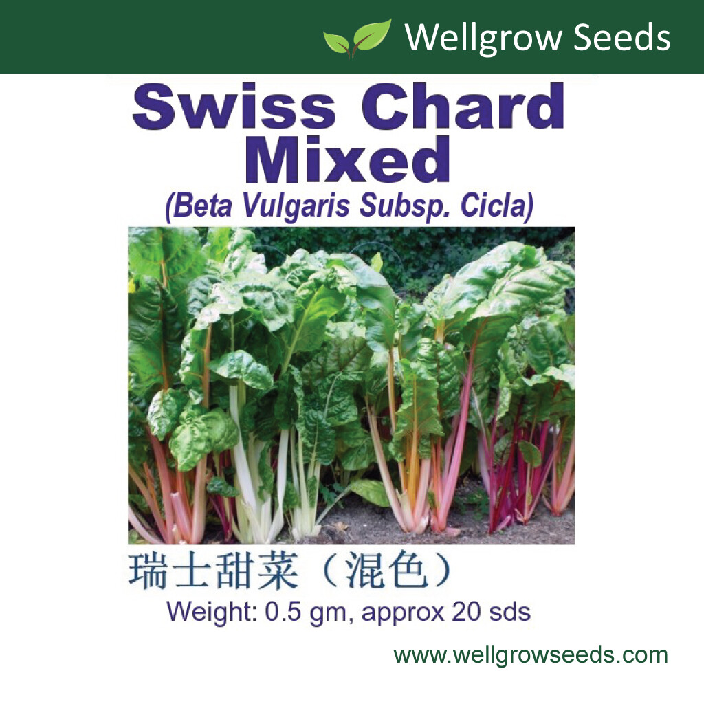 Swiss Chard Mixed Seeds 0 5 Gm Approx Sds 瑞士甜菜 混色 Lazada