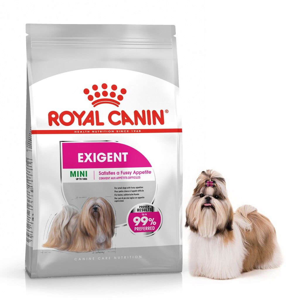 mini exigent royal canin