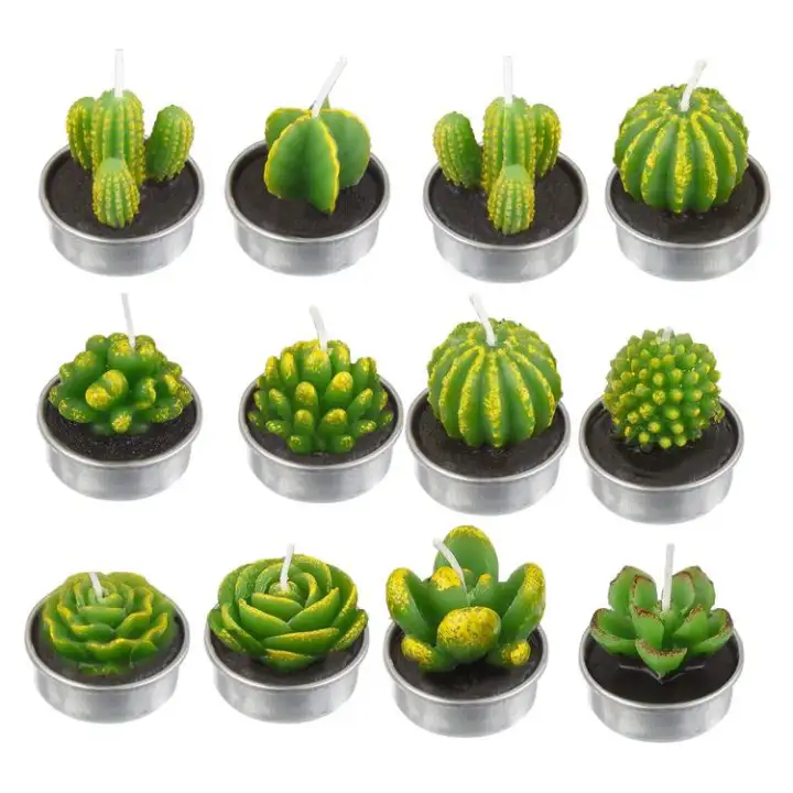 12pcs Cactus Candles Valentines Day Rose Flower Tealight Candles Lazada Singapore