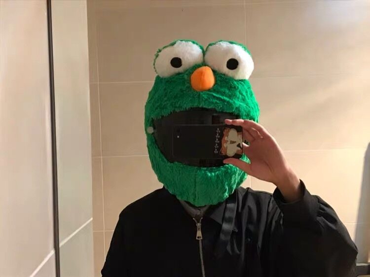 Oscar the best sale grouch helmet cover