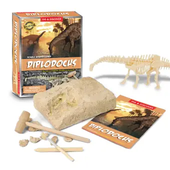 kids fossil kit