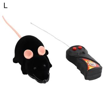 remote control kitten