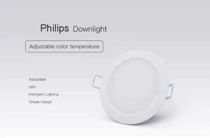 philips zhirui google home