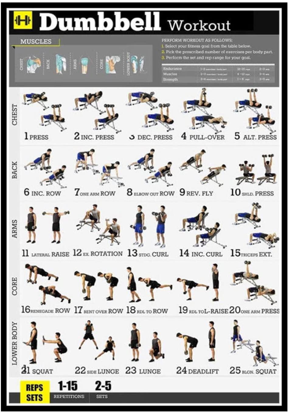 Dumbbell Workout Exercise Body Strength Pose Instructional Poster Art 