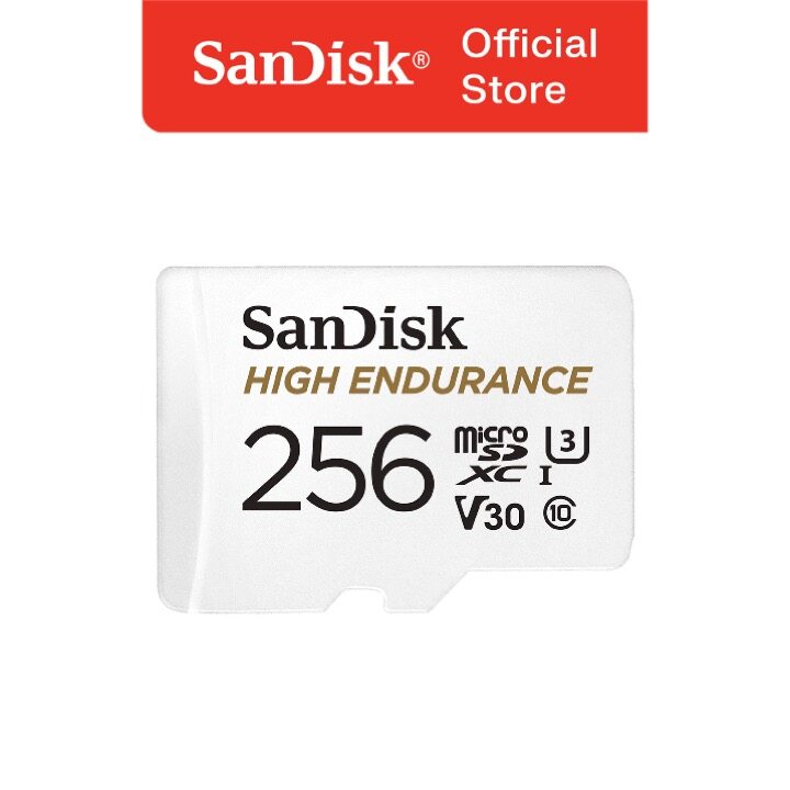 sandisk cctv