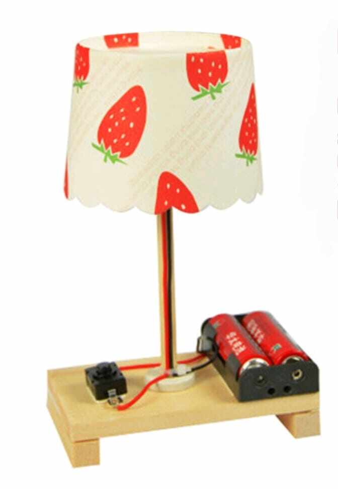 (STEM) Ready Stock DIY Experimental Table Lamp for Early Learning ...