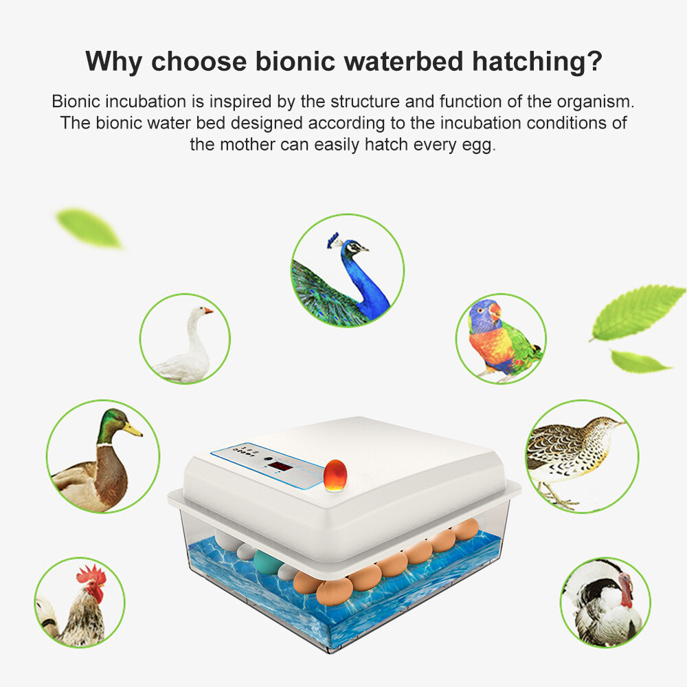 【Ready Stock】Original Aideepen Automatic Temperature Control Incubator Tool Household Foam Bionic Incubator for All Kinds of Poultry Eggs Choose 20 Pieces/22 Pieces/42 Pieces/50 Pieces