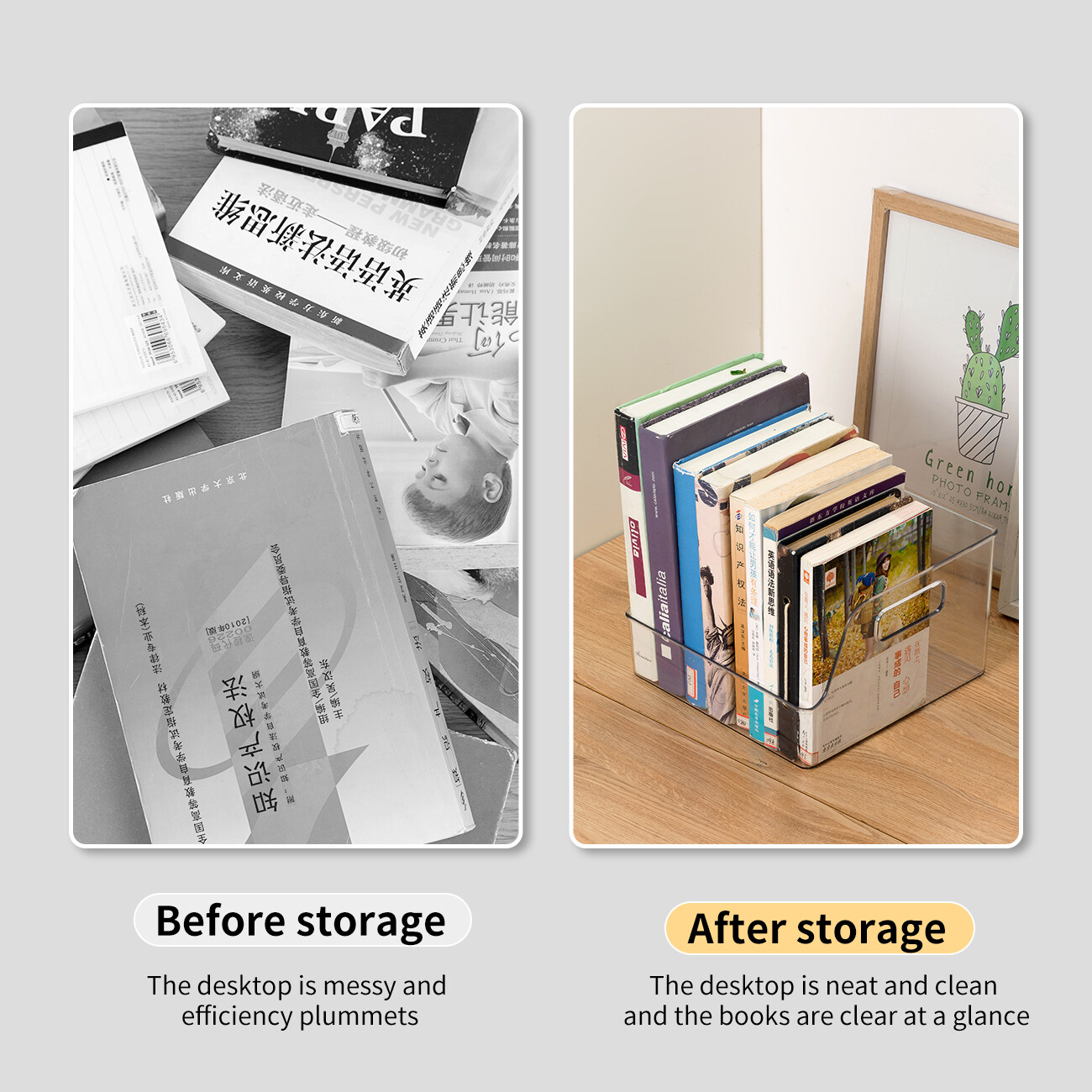 CNMF High-Capacity Transparent Load-Bearing Book Storage Box