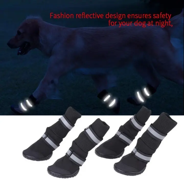 protective dog shoes