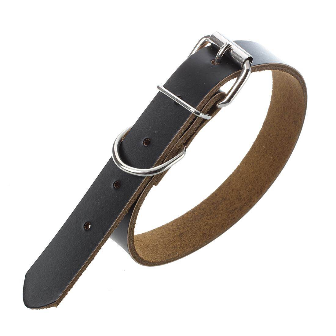 dog collar black leather