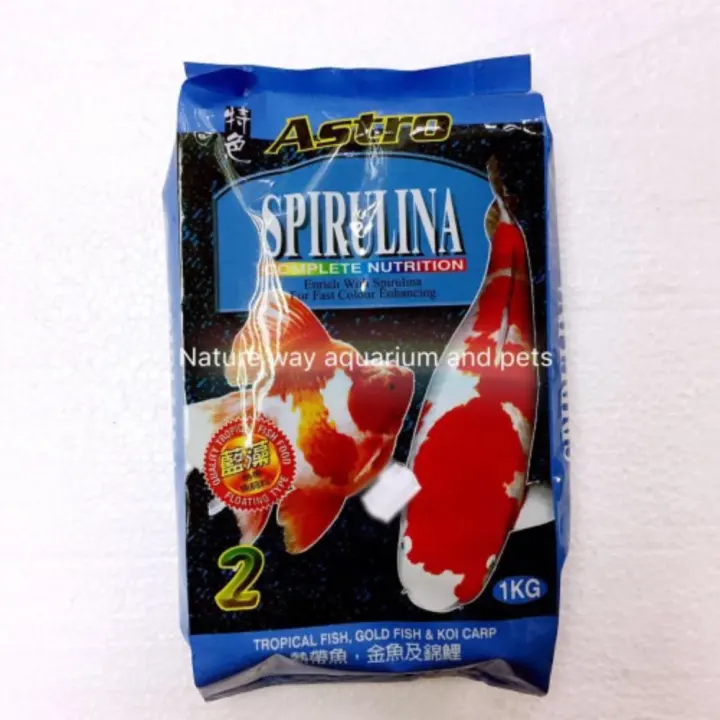 spirulina koi food