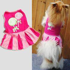 Candy Pattern Puppy Dog Doggie Apparel Clothes Hoodies Skirt Dress XS
