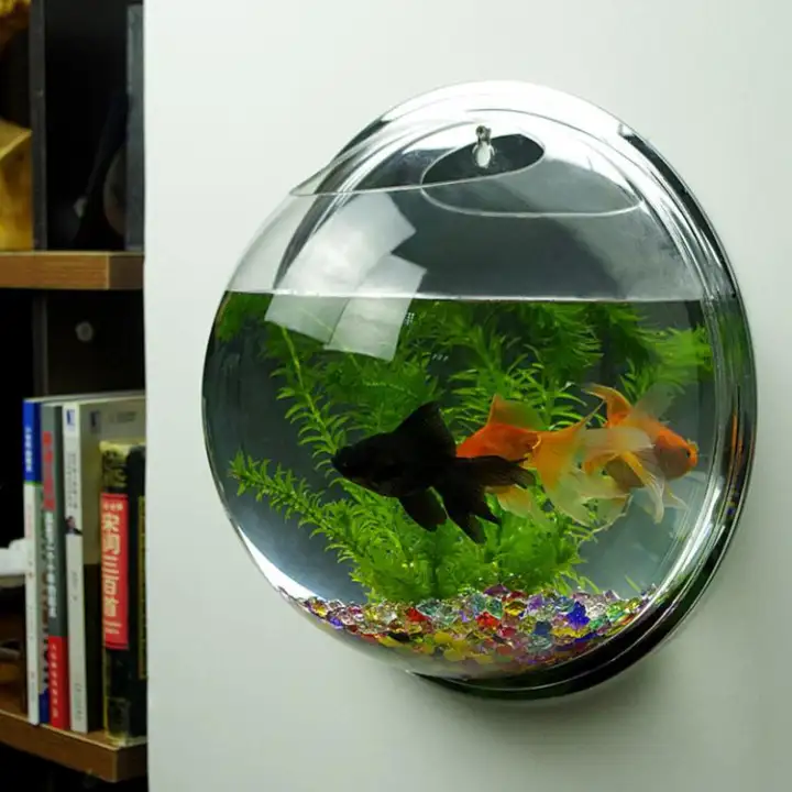 hanging aquarium