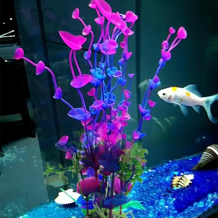 fish tank decorations plants