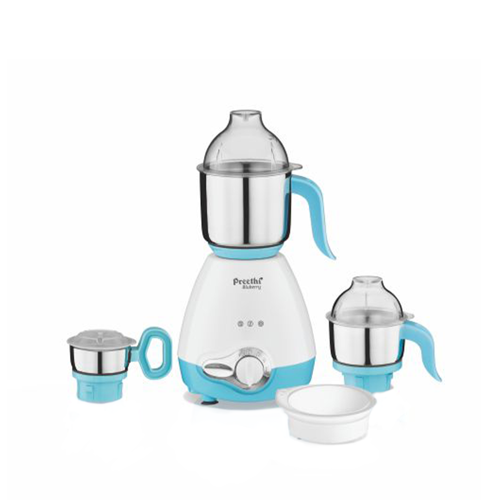 blueberry mixer grinder price