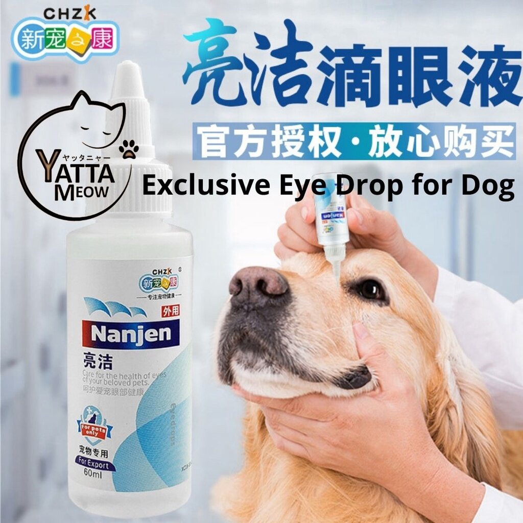 Clorogen eye shop drops for dogs