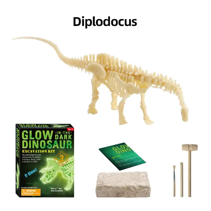 kids fossil kit