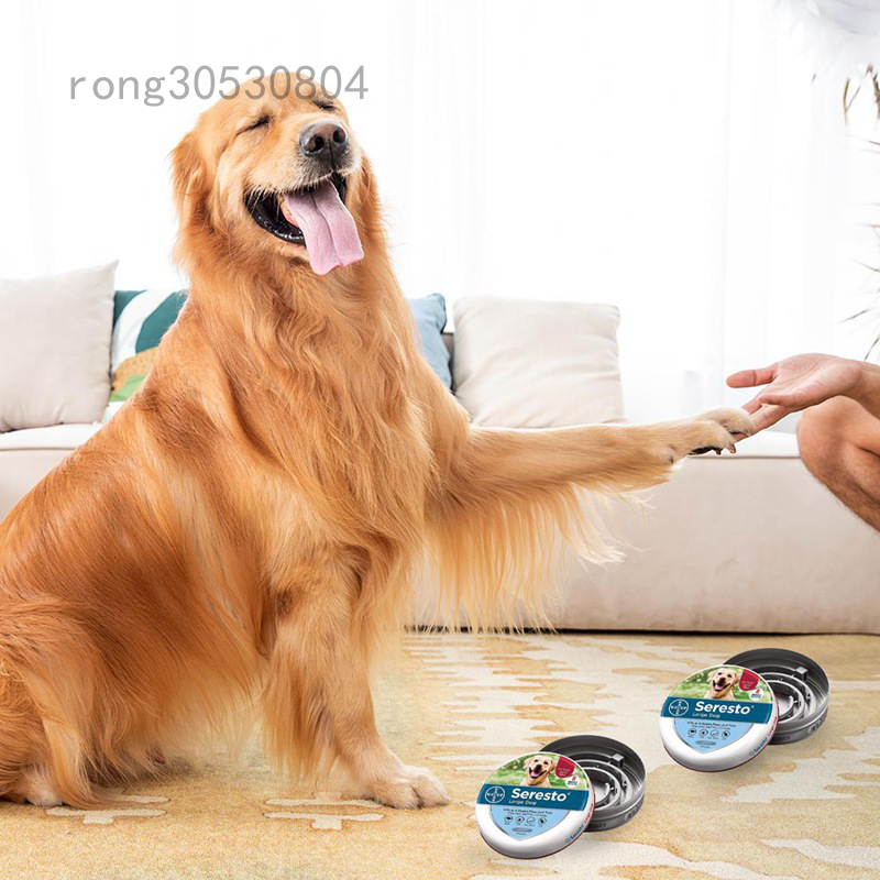 Vòng Cổ Thú Cưng Chống Côn Trùng Bayer Soledo Chống Lại Bọ Chét Côn Trùng