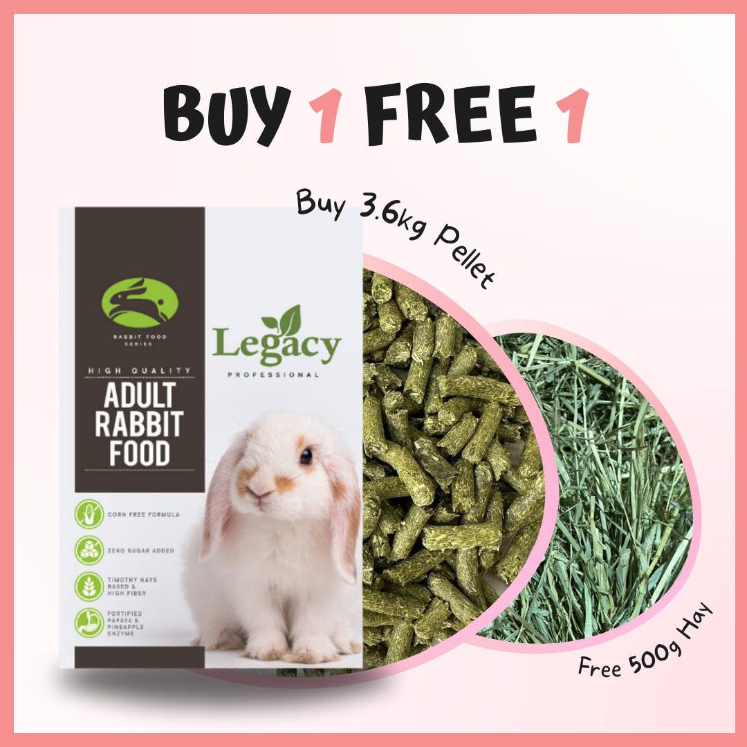 Exotic Nutrition Timothy Pellets Supplemental Food For, 50 OFF