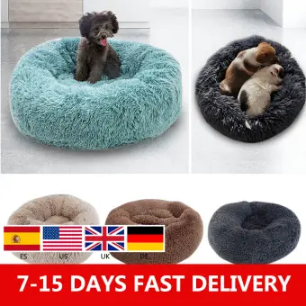 cat bed lazada
